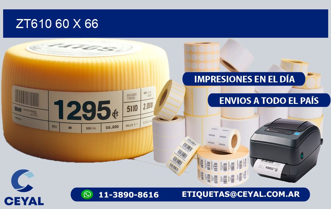 ZT610 60 x 66