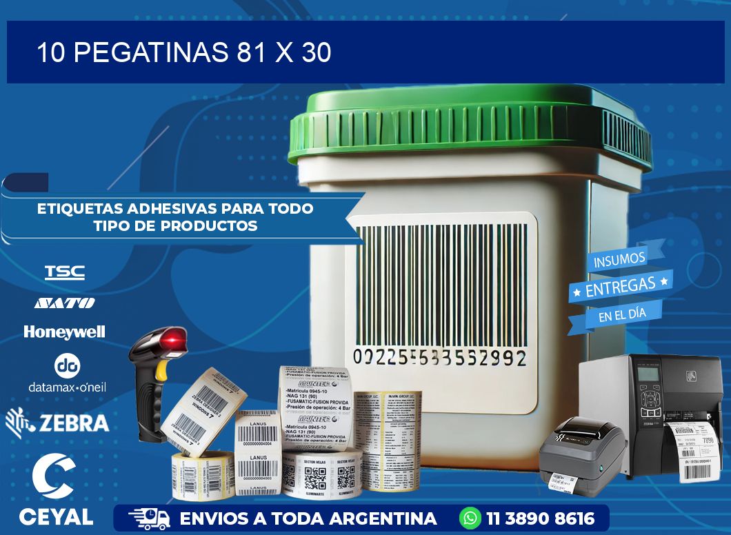 10 PEGATINAS 81 x 30