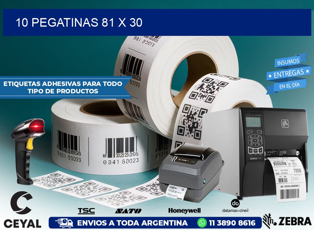 10 PEGATINAS 81 x 30
