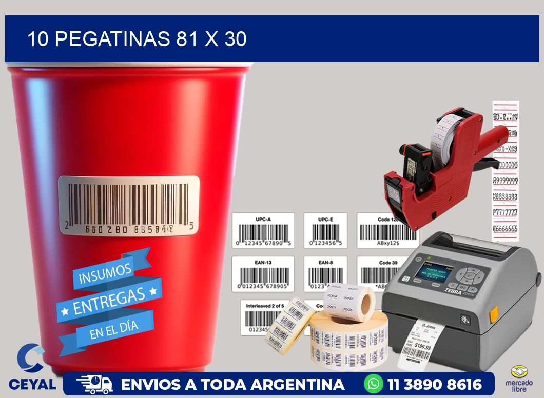 10 PEGATINAS 81 x 30