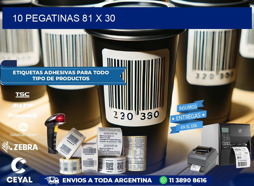 10 PEGATINAS 81 x 30