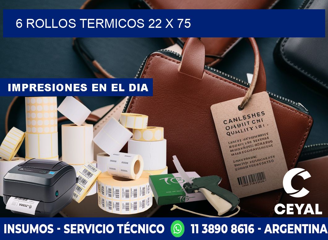 6 ROLLOS TERMICOS 22 x 75