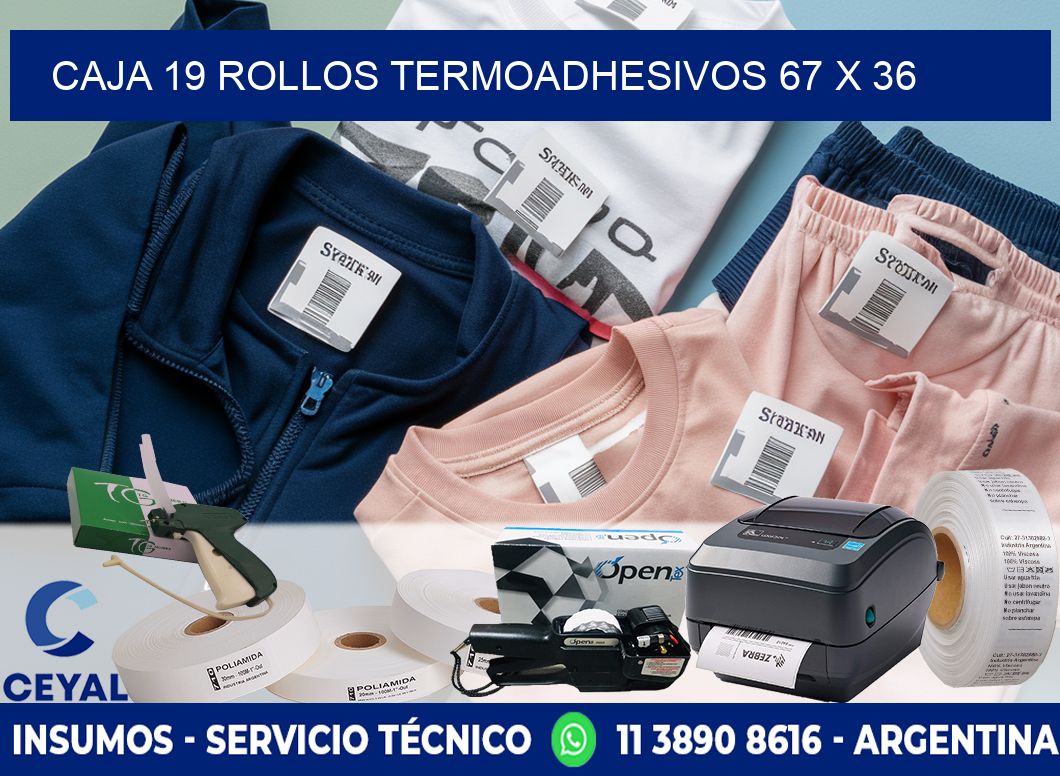 CAJA 19 ROLLOS TERMOADHESIVOS 67 x 36