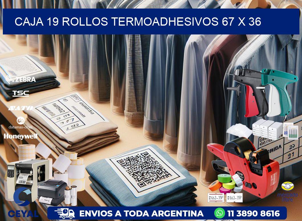 CAJA 19 ROLLOS TERMOADHESIVOS 67 x 36