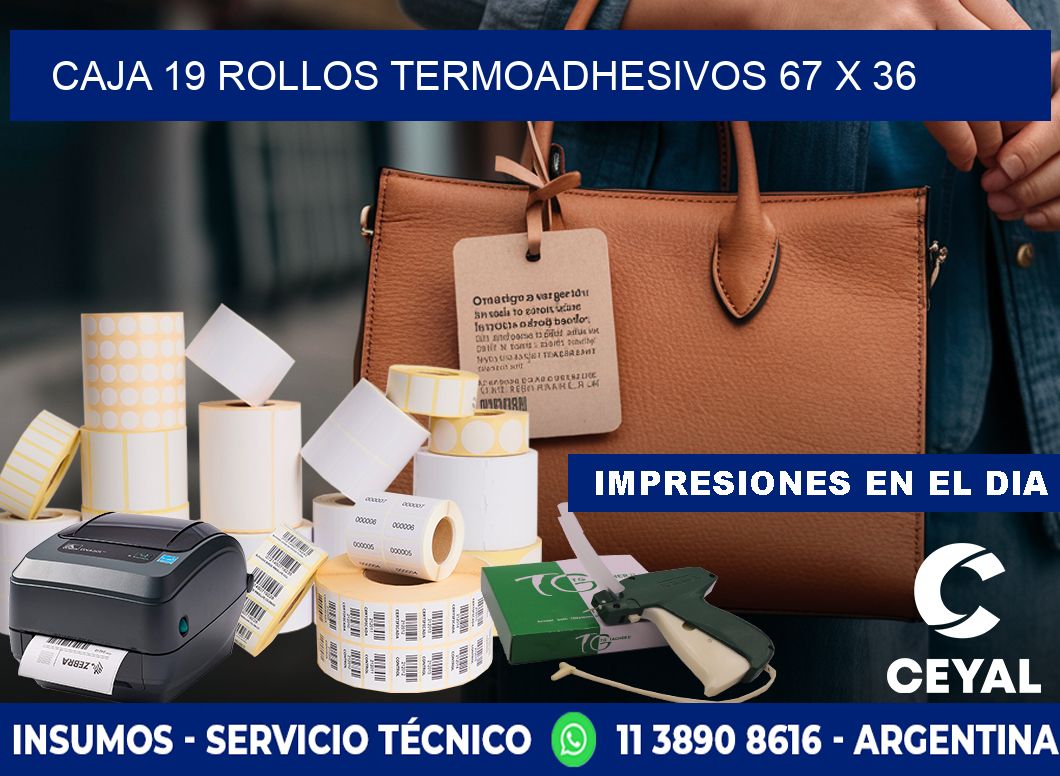 CAJA 19 ROLLOS TERMOADHESIVOS 67 x 36