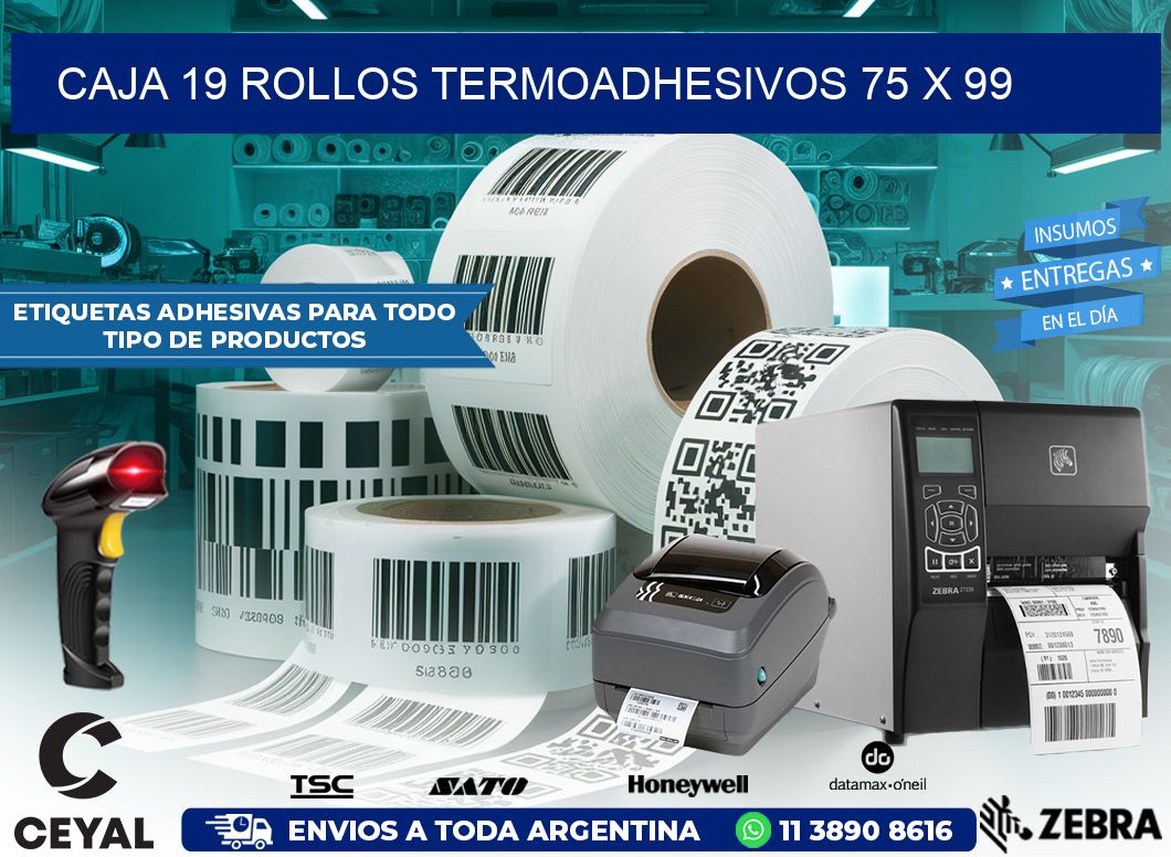 CAJA 19 ROLLOS TERMOADHESIVOS 75 x 99