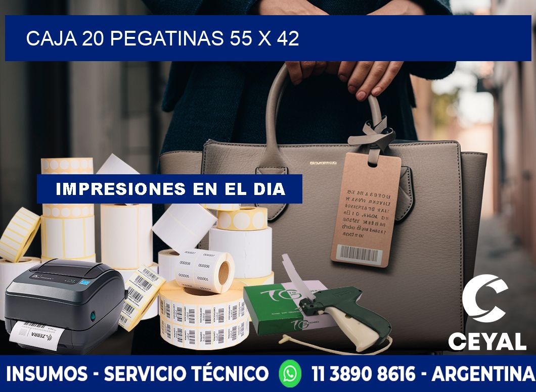 CAJA 20 PEGATINAS 55 x 42