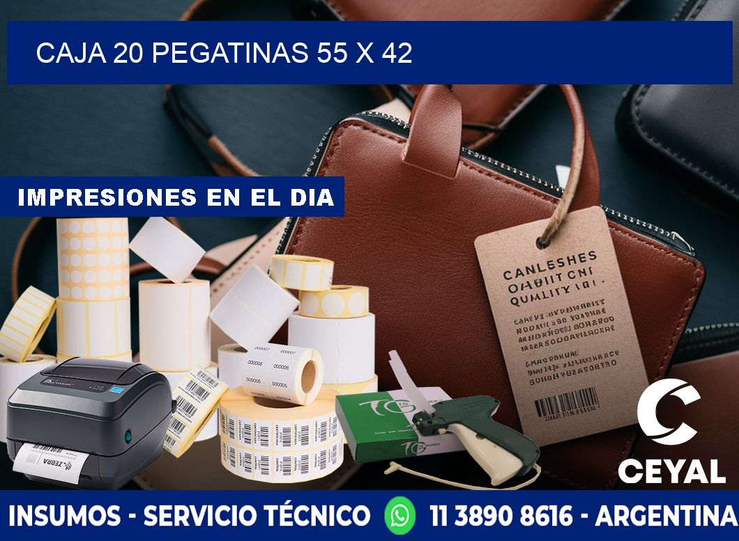 CAJA 20 PEGATINAS 55 x 42
