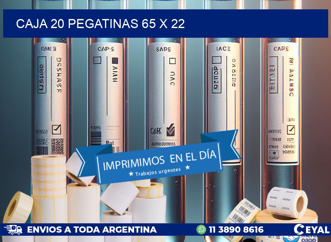 CAJA 20 PEGATINAS 65 x 22