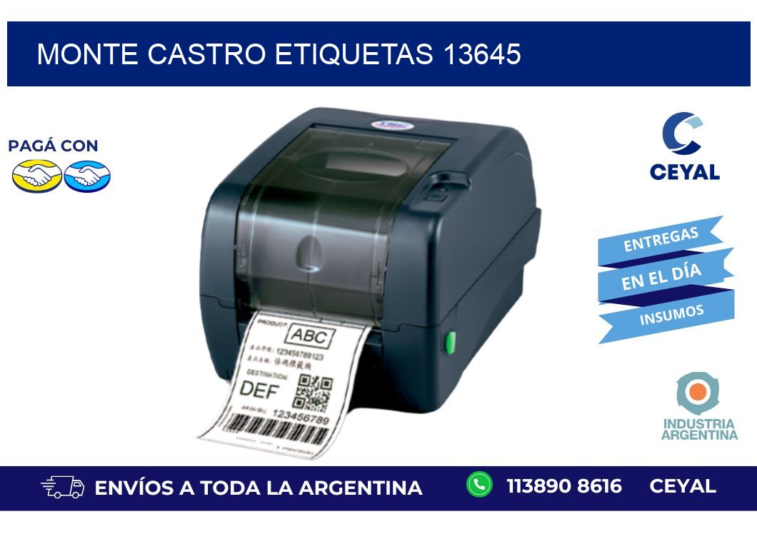 Monte Castro etiquetas 13645