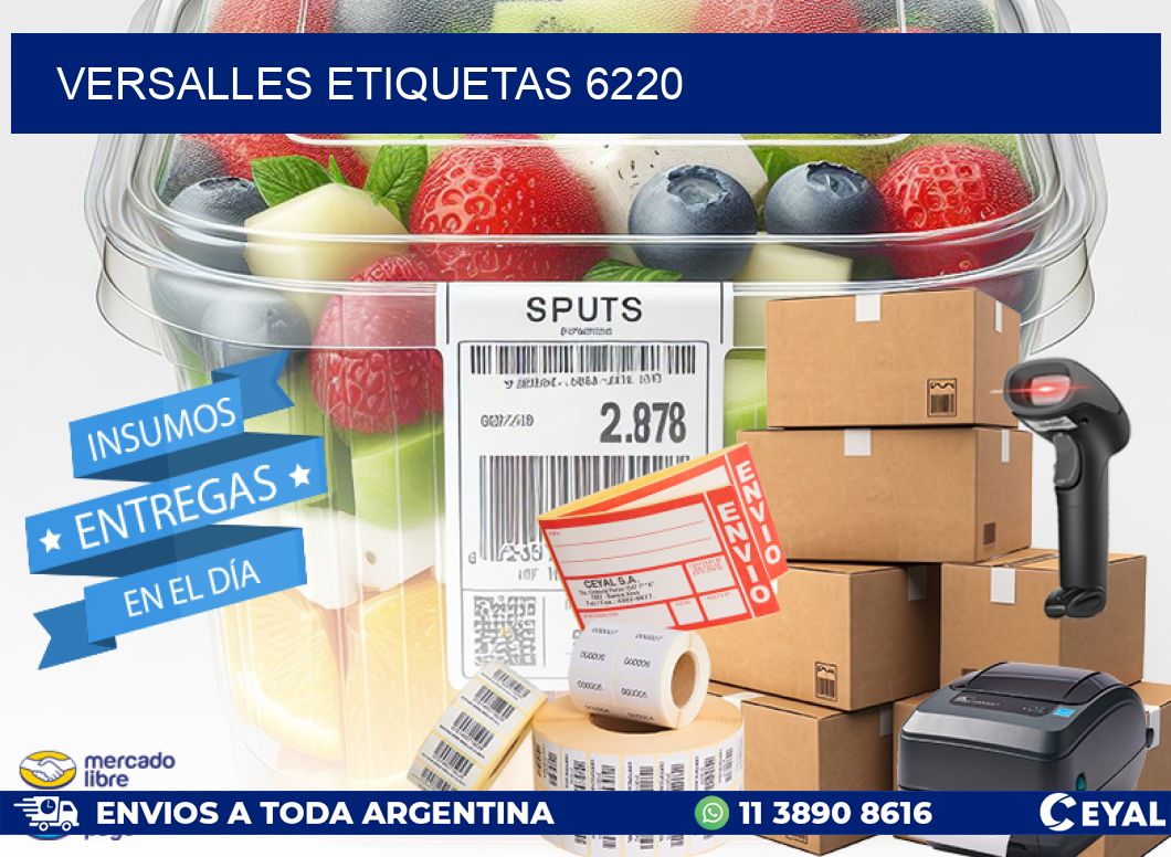 Versalles etiquetas 6220