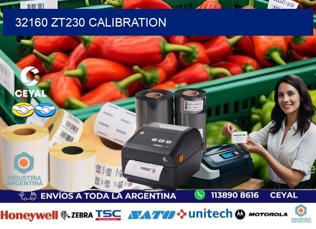 32160 ZT230 Calibration