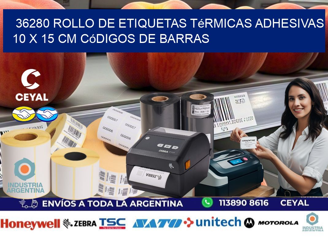 36280 Rollo de Etiquetas Térmicas Adhesivas 10 x 15 cm Códigos de Barras