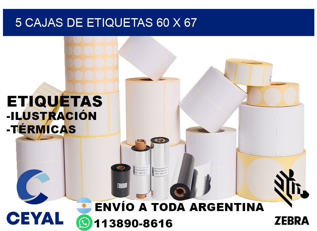 5 cajas de etiquetas 60 x 67