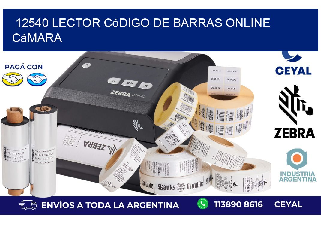 12540 Lector código de barras online cámara