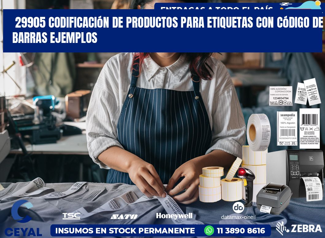 29905 Codificación de productos para etiquetas con código de barras ejemplos