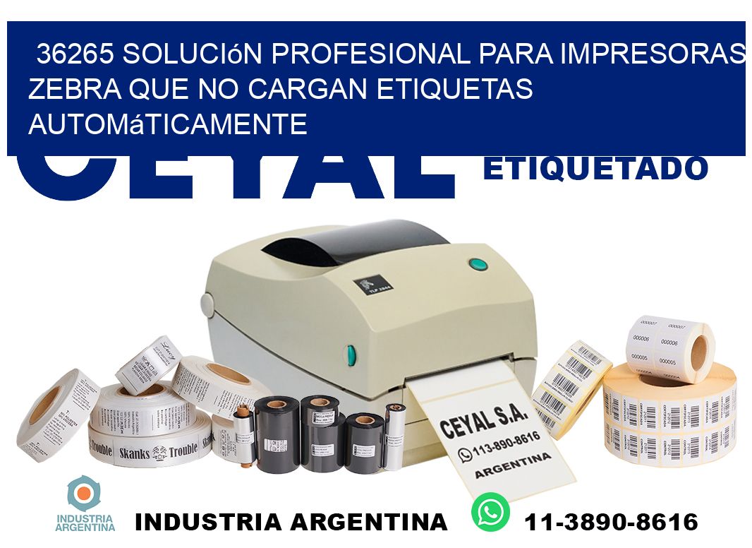 36265 solución profesional para impresoras zebra que no cargan etiquetas automáticamente
