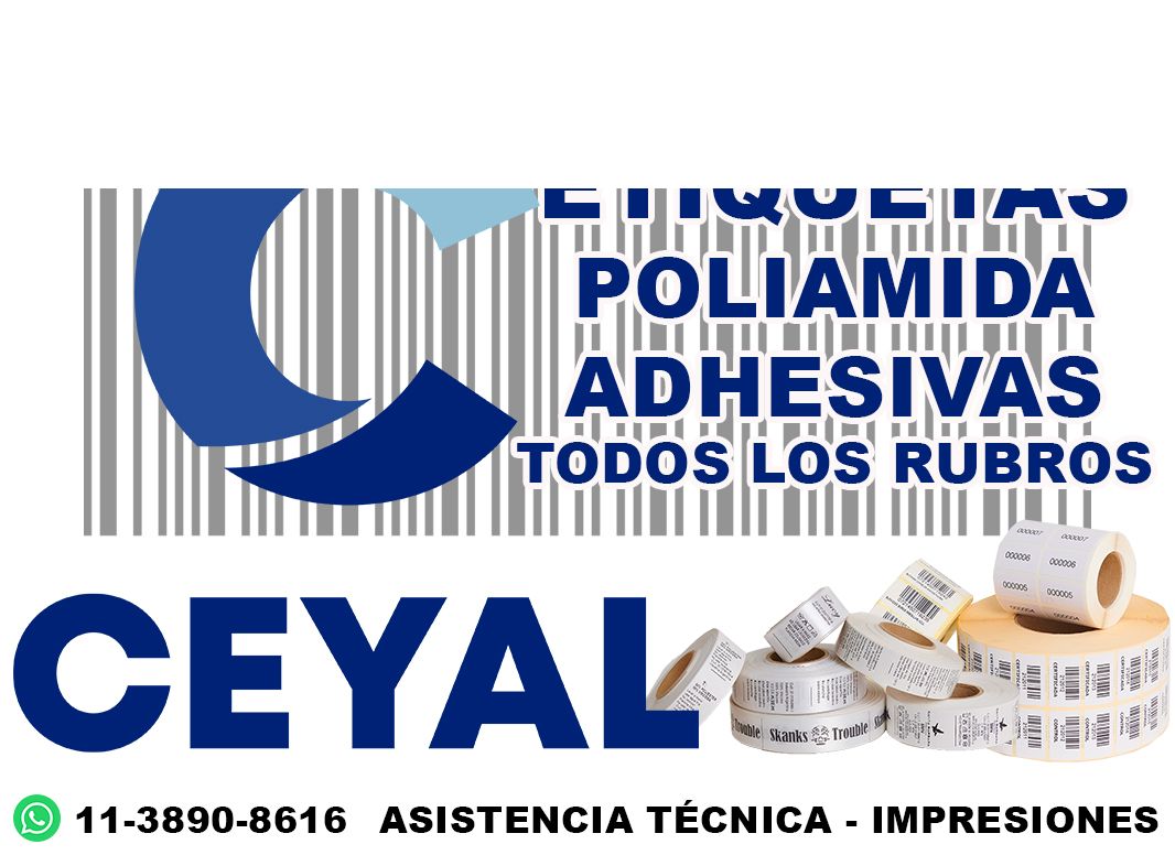 48585 impresora de etiquetas térmicas para ropa ZD220