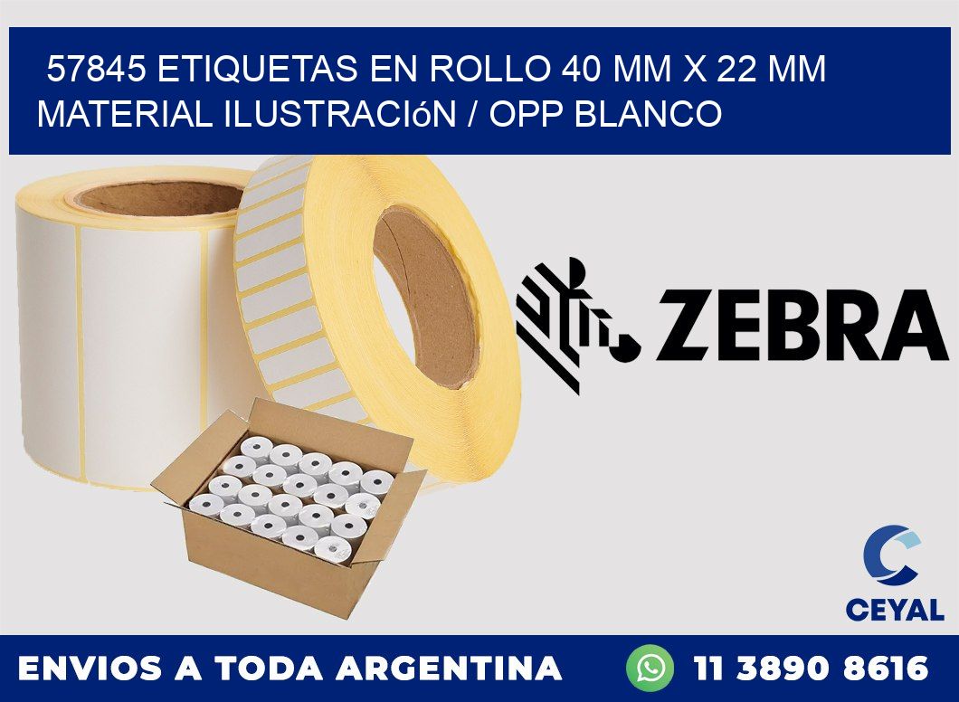 57845 Etiquetas en rollo 40 mm x 22 mm material Ilustración / OPP Blanco