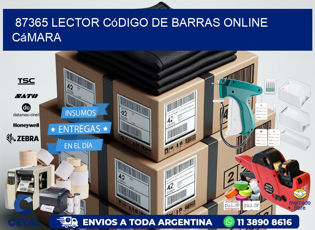 87365 Lector código de barras online cámara