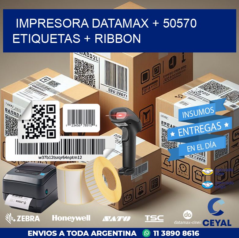 impresora DATAMAX + 50570 etiquetas + ribbon