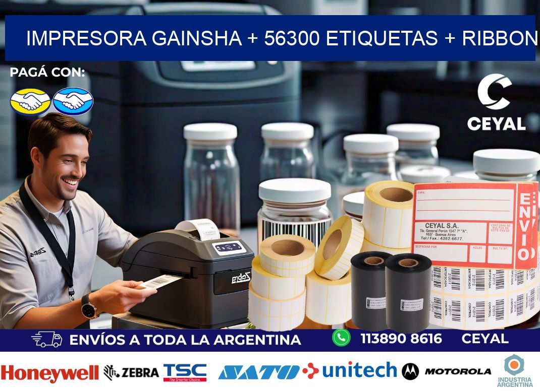 impresora gainsha + 56300 etiquetas + ribbon