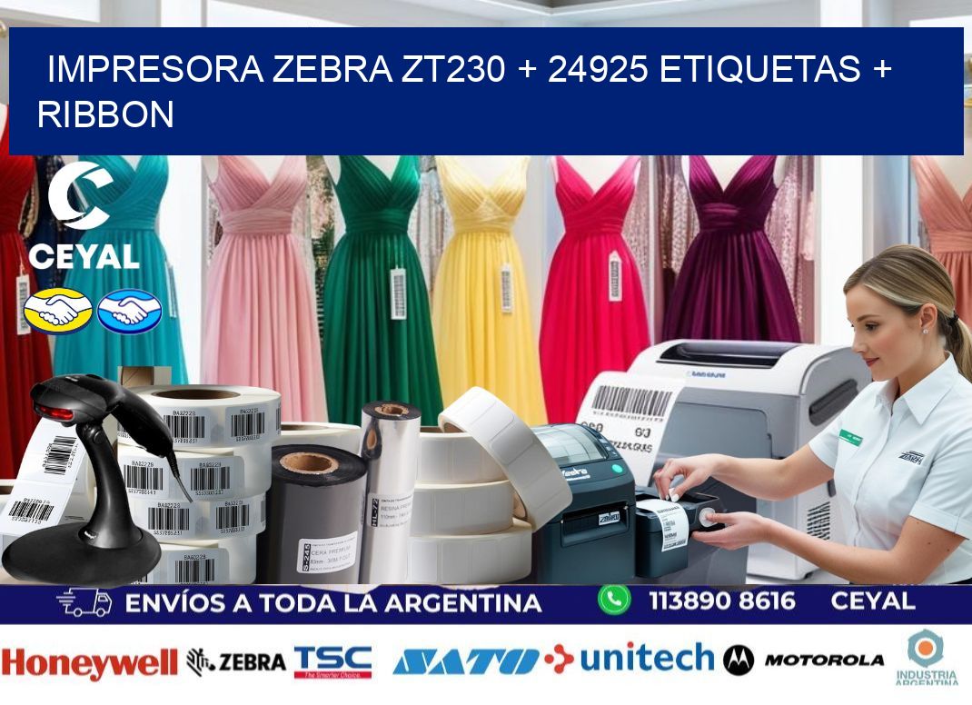 impresora zebra zt230 + 24925 etiquetas + ribbon