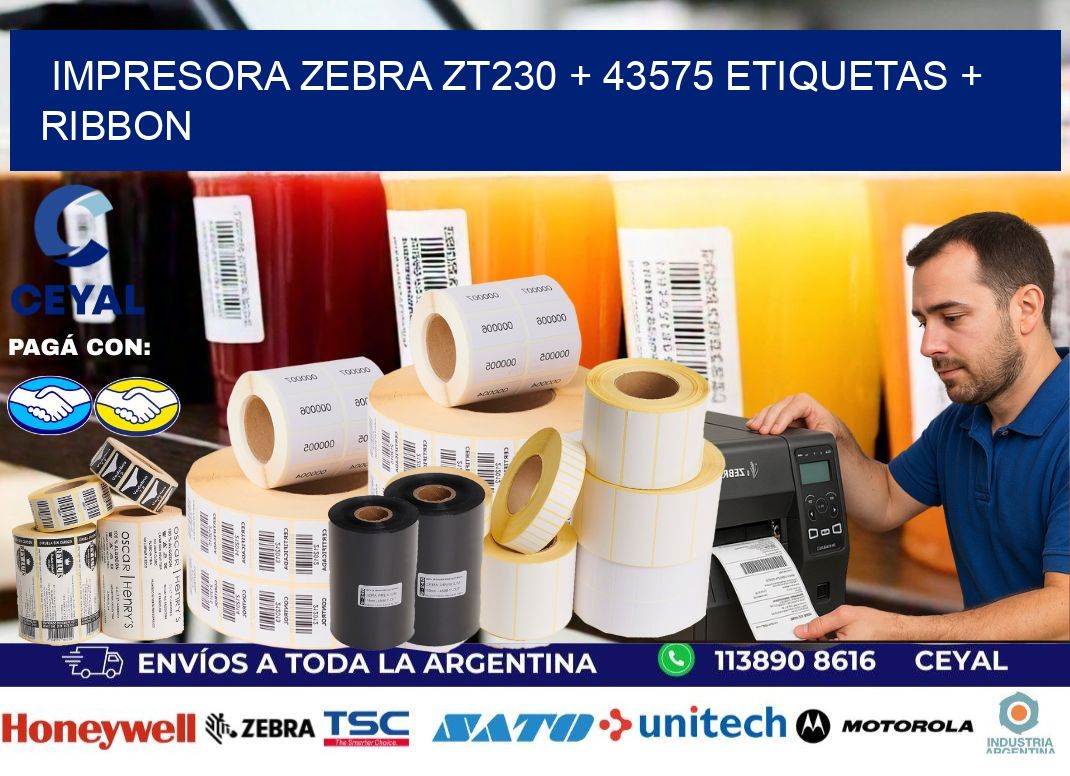 impresora zebra zt230 + 43575 etiquetas + ribbon