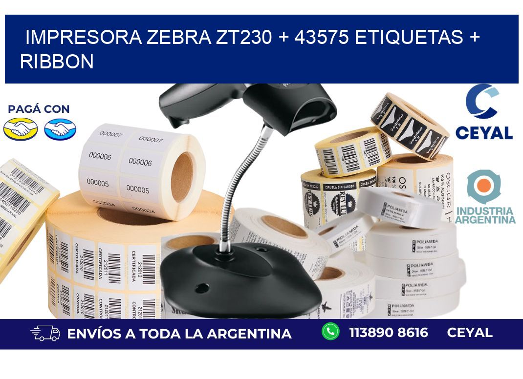 impresora zebra zt230 + 43575 etiquetas + ribbon