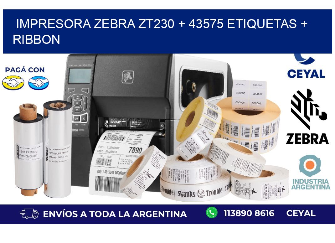 impresora zebra zt230 + 43575 etiquetas + ribbon