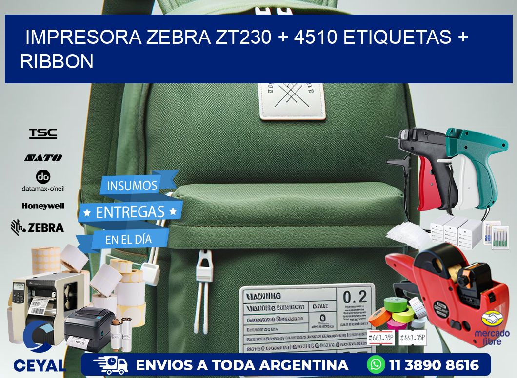 impresora zebra zt230 + 4510 etiquetas + ribbon