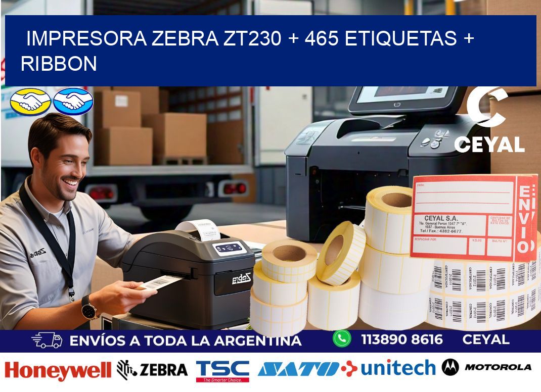 impresora zebra zt230 + 465 etiquetas + ribbon