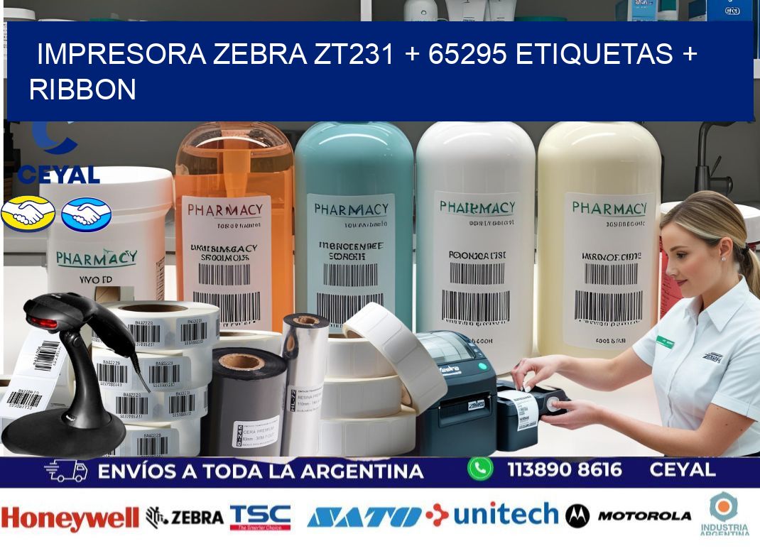 impresora zebra zt231 + 65295 etiquetas + ribbon