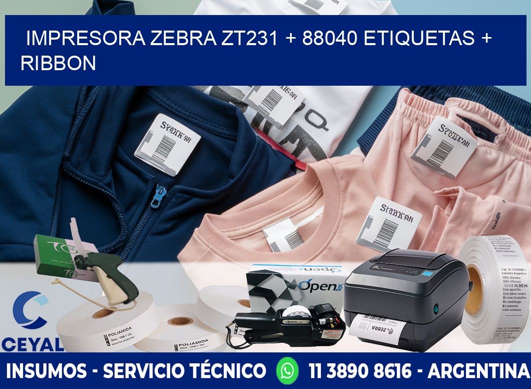 impresora zebra zt231 + 88040 etiquetas + ribbon