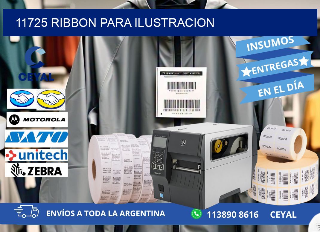 11725 ribbon para ilustracion