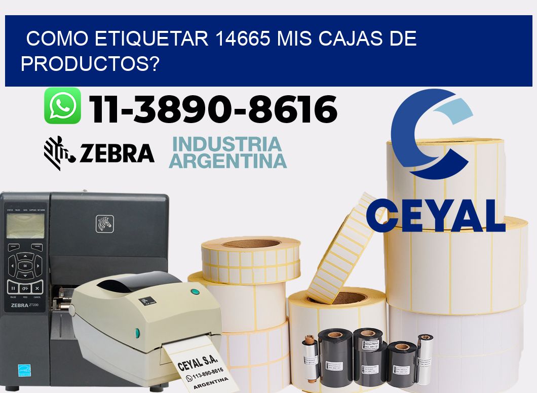 como etiquetar 14665 mis cajas de productos?