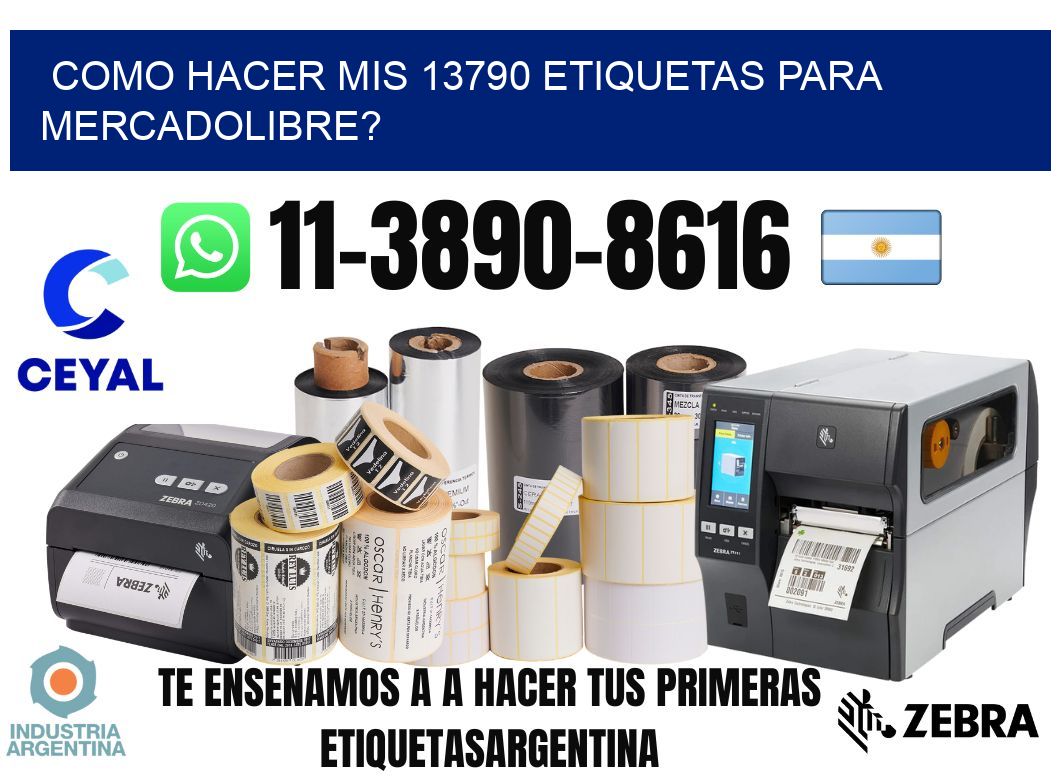 como hacer mis 13790 etiquetas para mercadolibre?