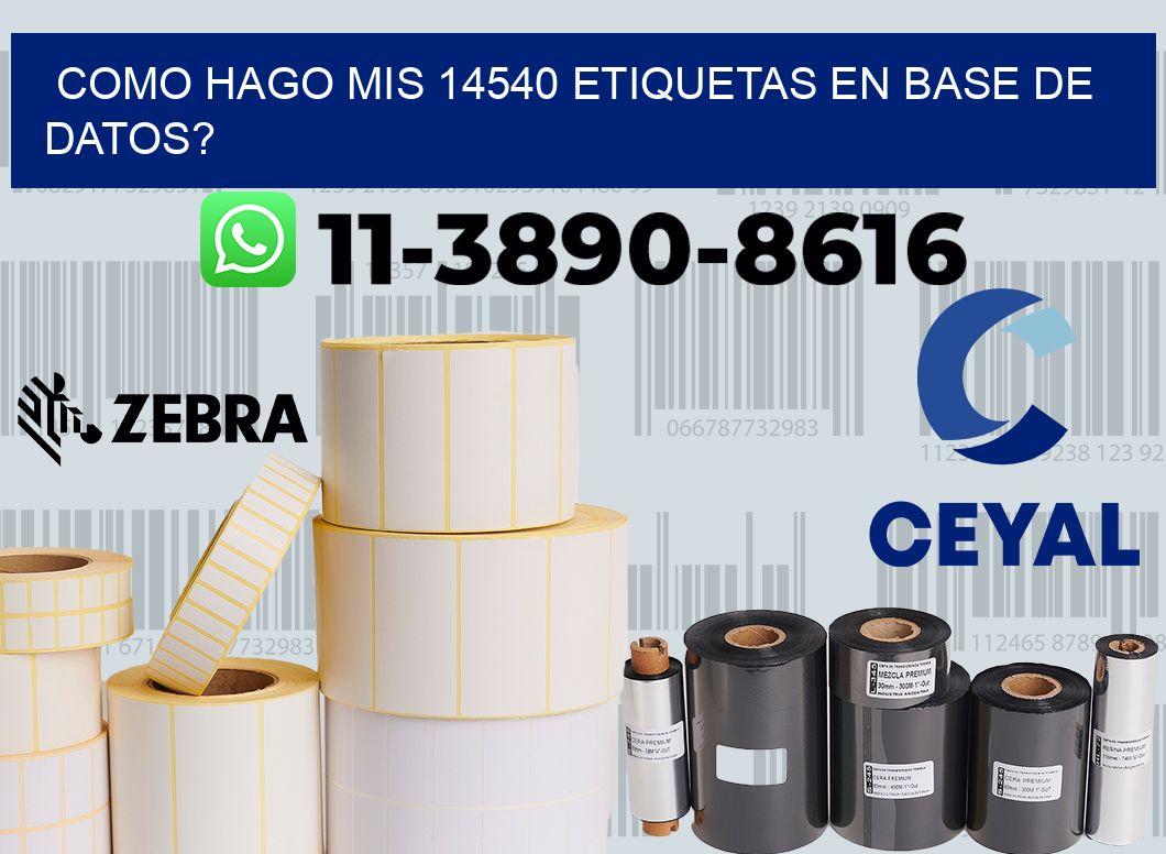 como hago mis 14540 etiquetas en base de datos?