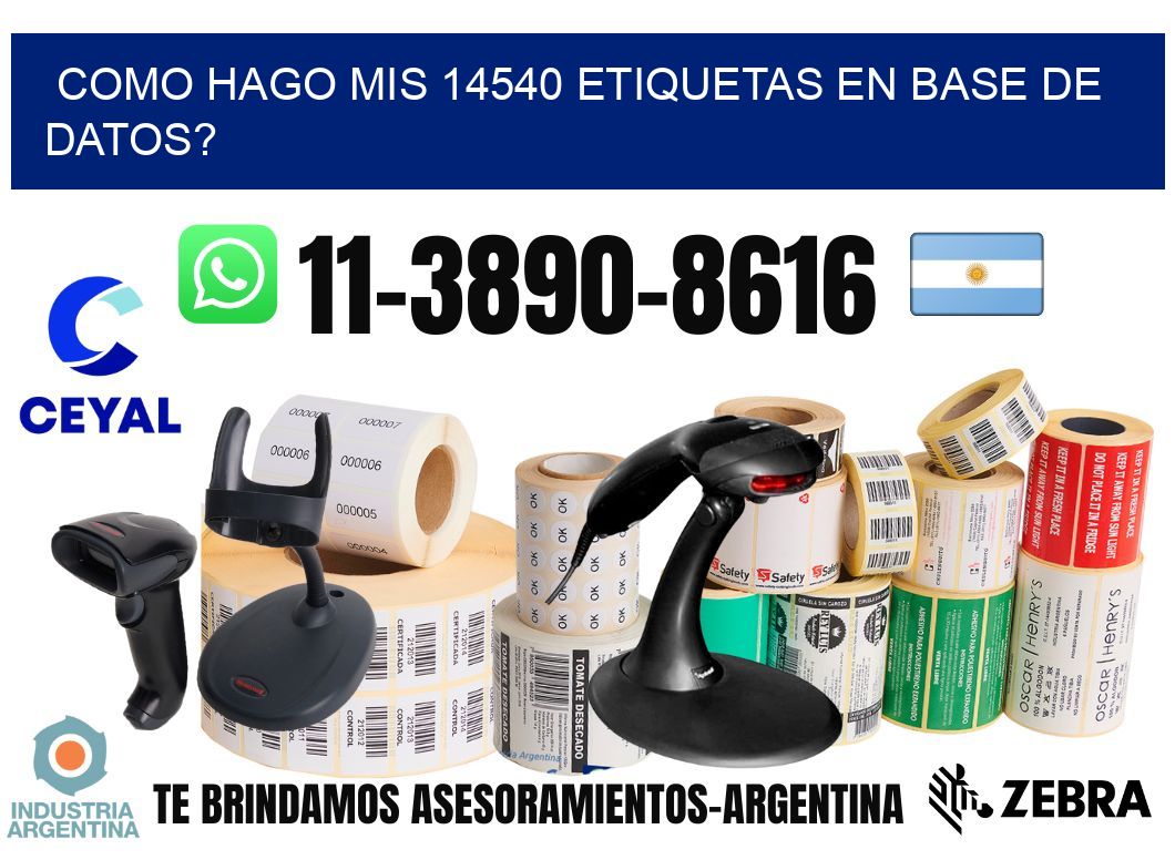 como hago mis 14540 etiquetas en base de datos?