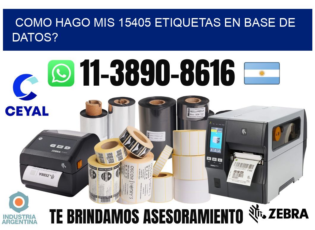 como hago mis 15405 etiquetas en base de datos?
