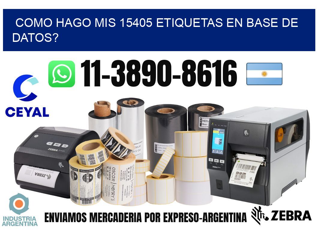 como hago mis 15405 etiquetas en base de datos?