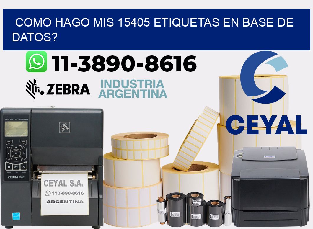 como hago mis 15405 etiquetas en base de datos?