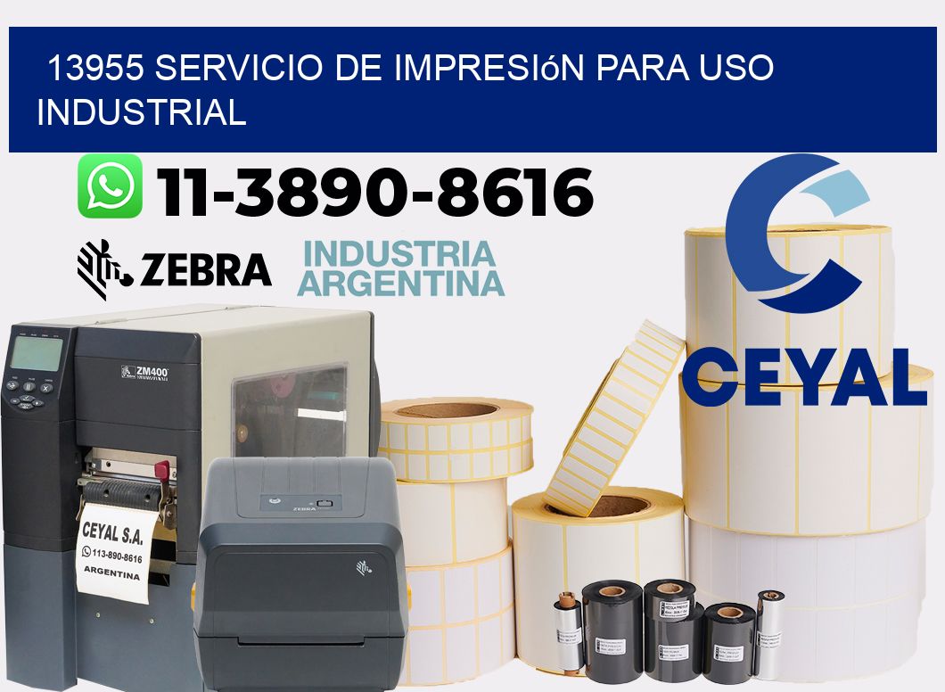 13955 Servicio de impresión para uso industrial