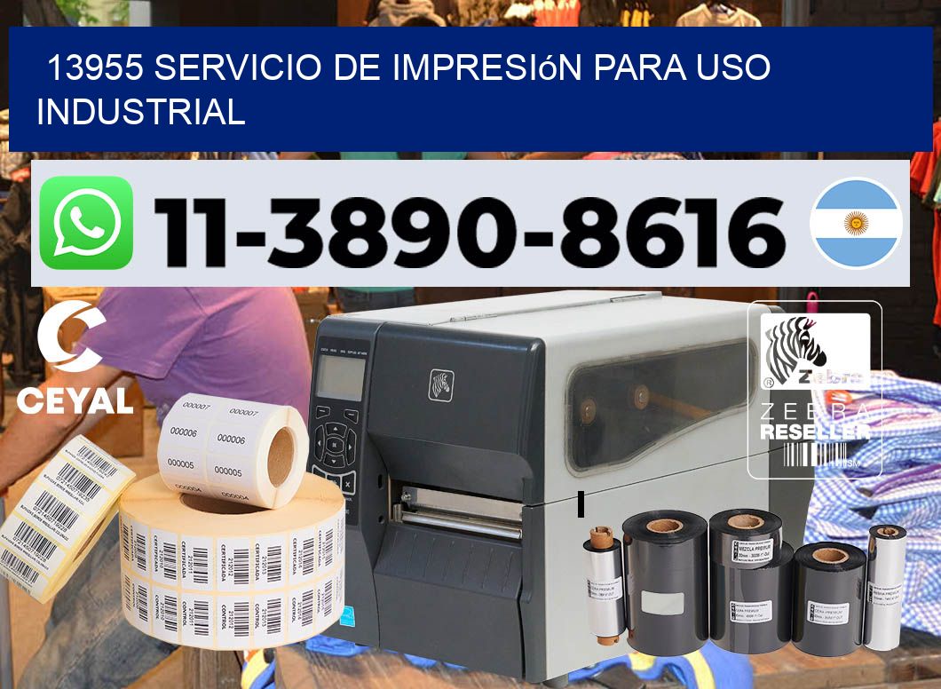 13955 Servicio de impresión para uso industrial
