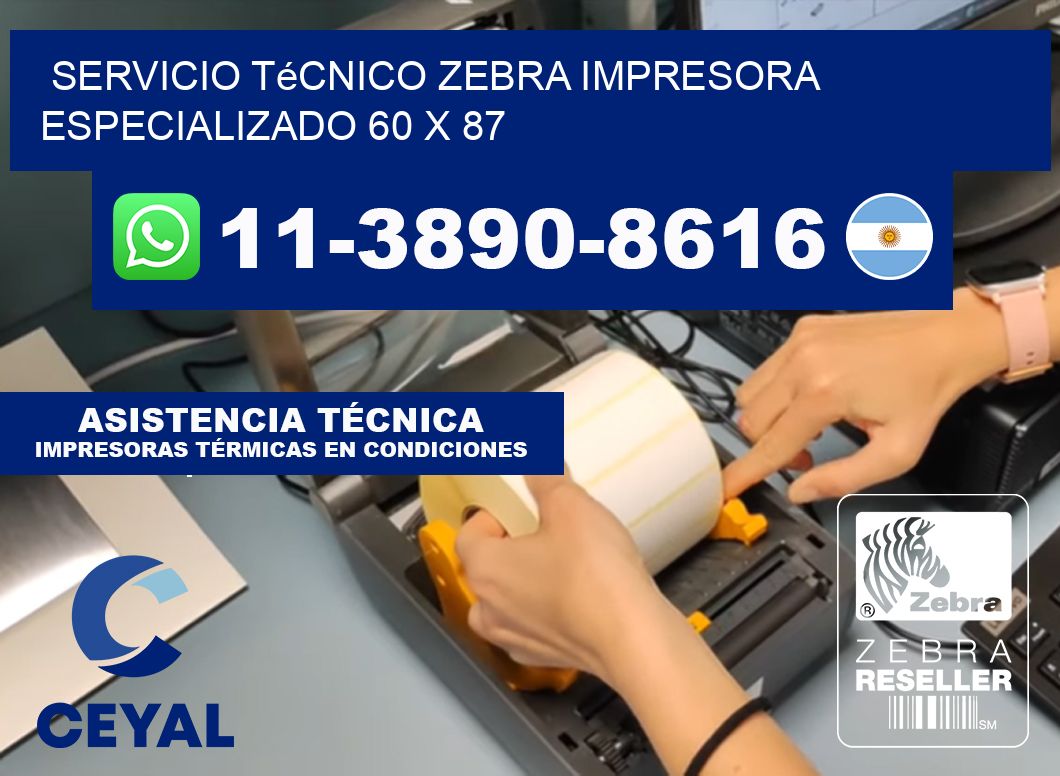 Servicio Técnico Zebra Impresora Especializado 60 x 87