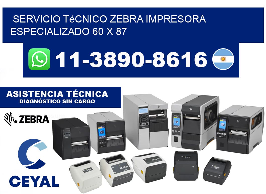Servicio Técnico Zebra Impresora Especializado 60 x 87