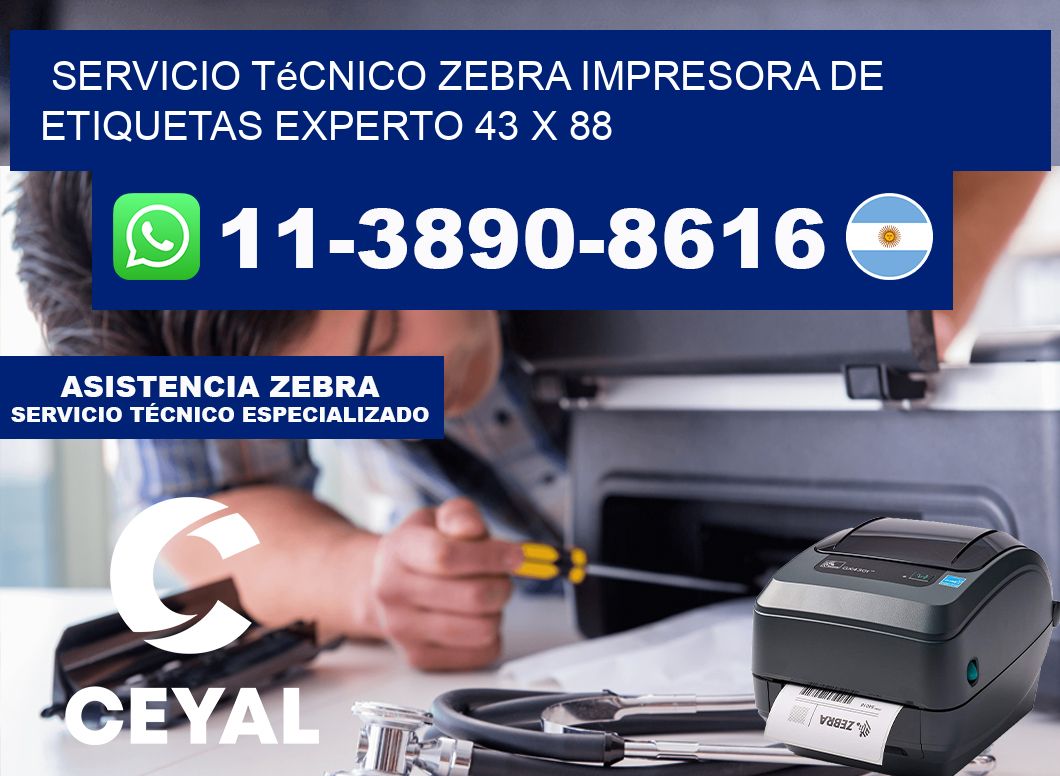 Servicio Técnico Zebra Impresora de Etiquetas Experto 43 x 88