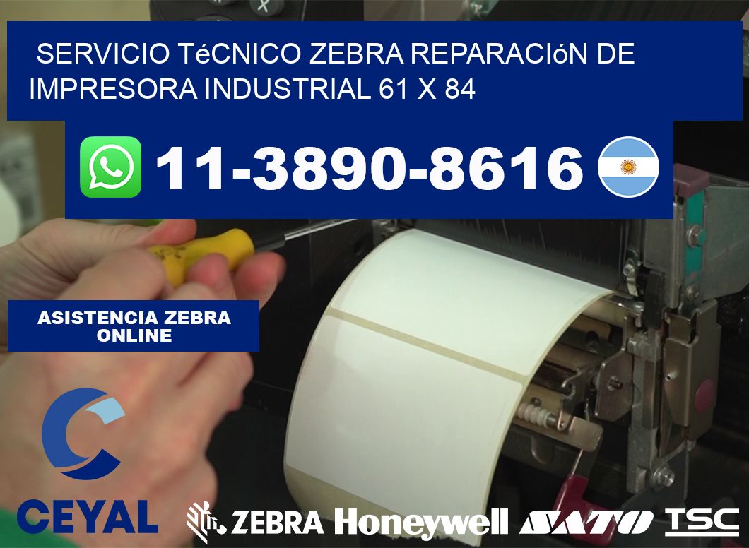 Servicio Técnico Zebra Reparación de Impresora Industrial 61 x 84