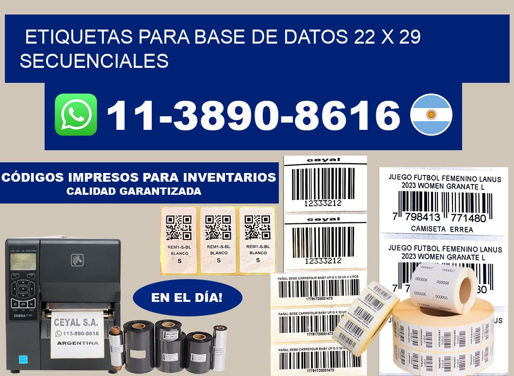 etiquetas para base de datos 22 x 29 secuenciales