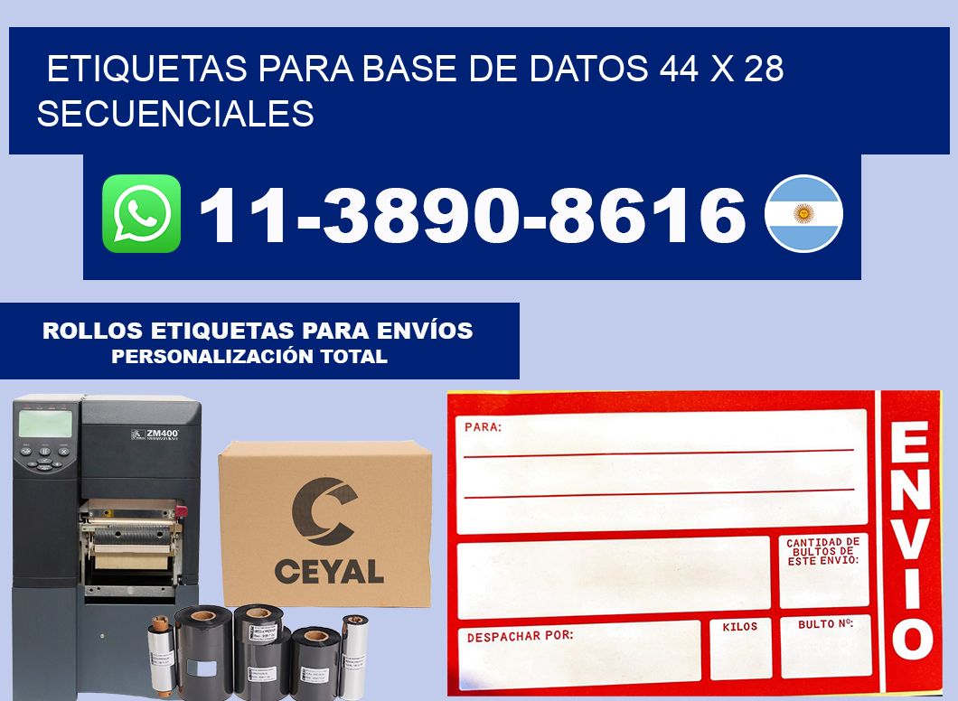 etiquetas para base de datos 44 x 28 secuenciales